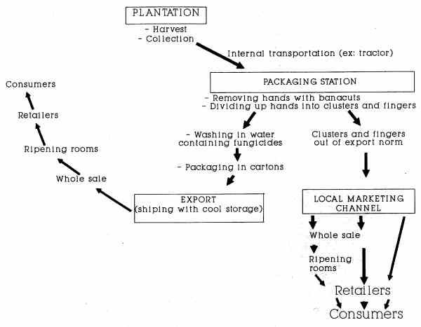 SUMMARY OF OPERATIONS IN BANANA EXPORT TRADE (19KB)
