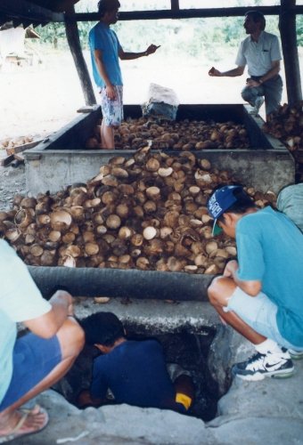 SEMI_DIRECT SMOKE COPRA DRYER